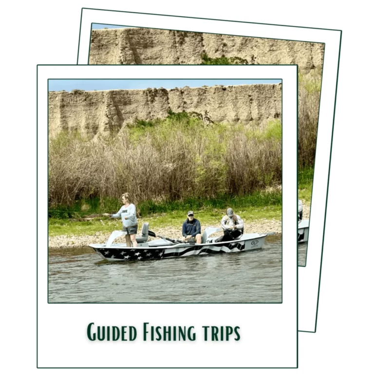 Guided Fishing Trips