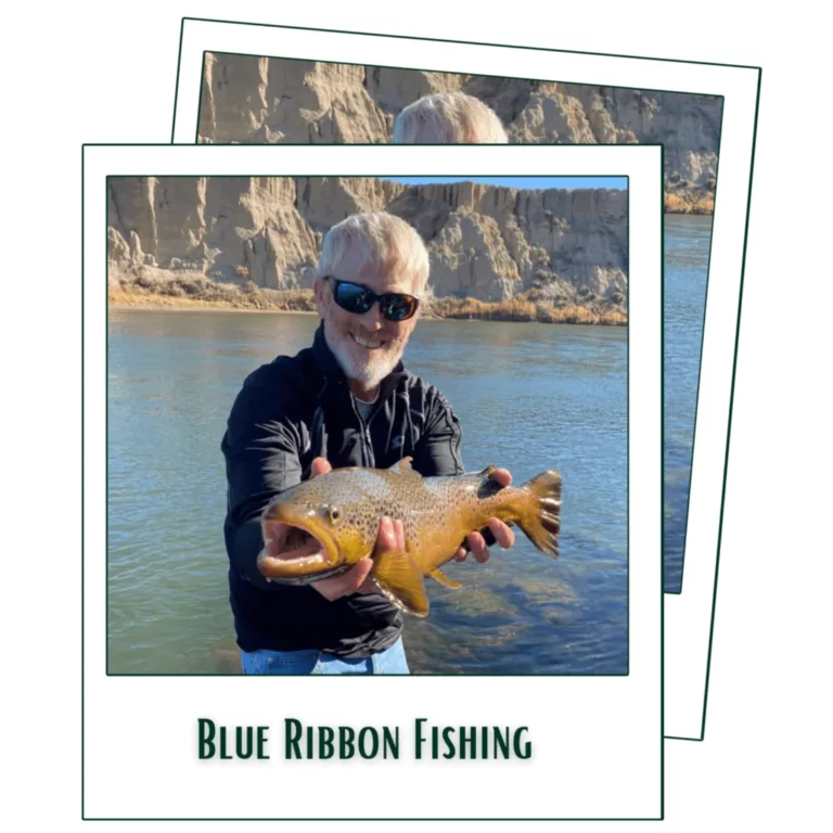 Blue Ribbon Fishing
